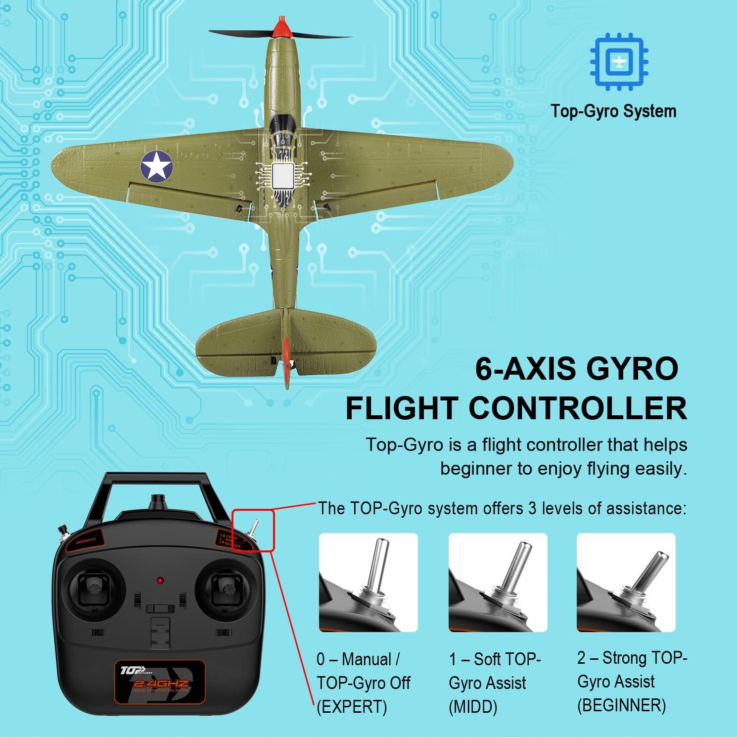 Ready-to-Fly 4-Channel RC Warb – Model Airplane Plastic recenzja i cena