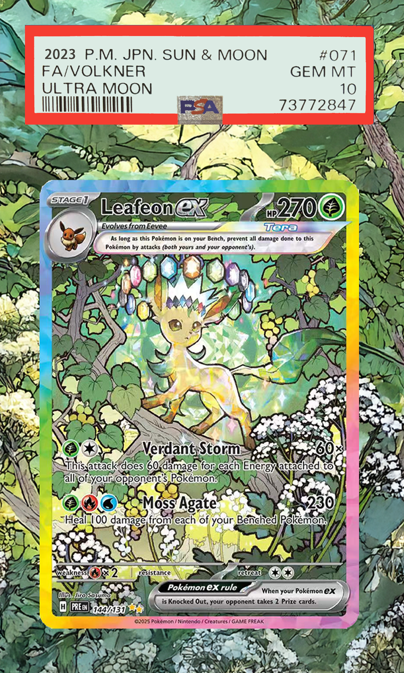 Pokemon Cards Display PTCG Lea – Display Case Acrylic recenzja i cena