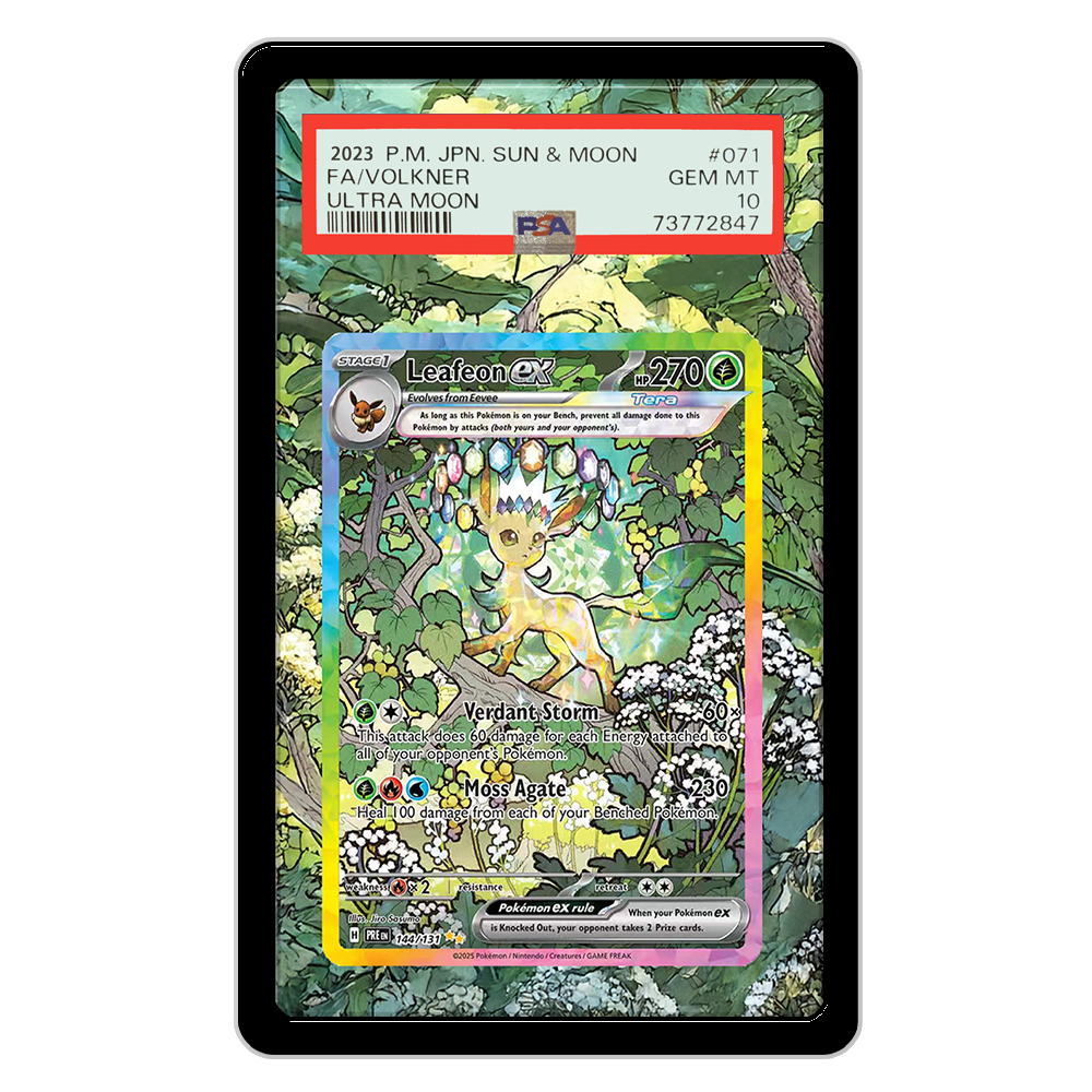 Pokemon Cards Display PTCG Lea – Display Case Acrylic recenzja i cena