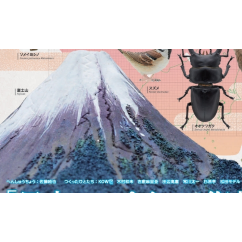 Japan Ikimon Gashapon Capsule  – Capsule Toy Gashapon recenzja i cena