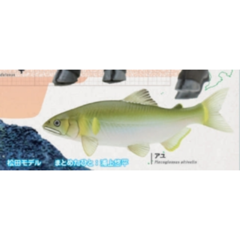 Japan Ikimon Gashapon Capsule  – Capsule Toy Gashapon recenzja i cena
