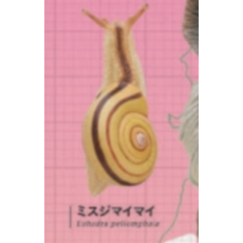 Japan Ikimon Gashapon Capsule  – Capsule Toy Gashapon recenzja i cena