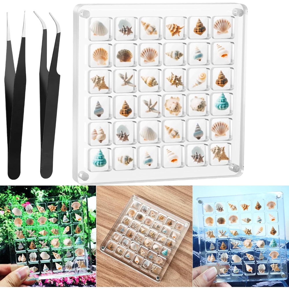 Clear Acrylic Magnetic Seashel – Display Case Acrylic recenzja i cena