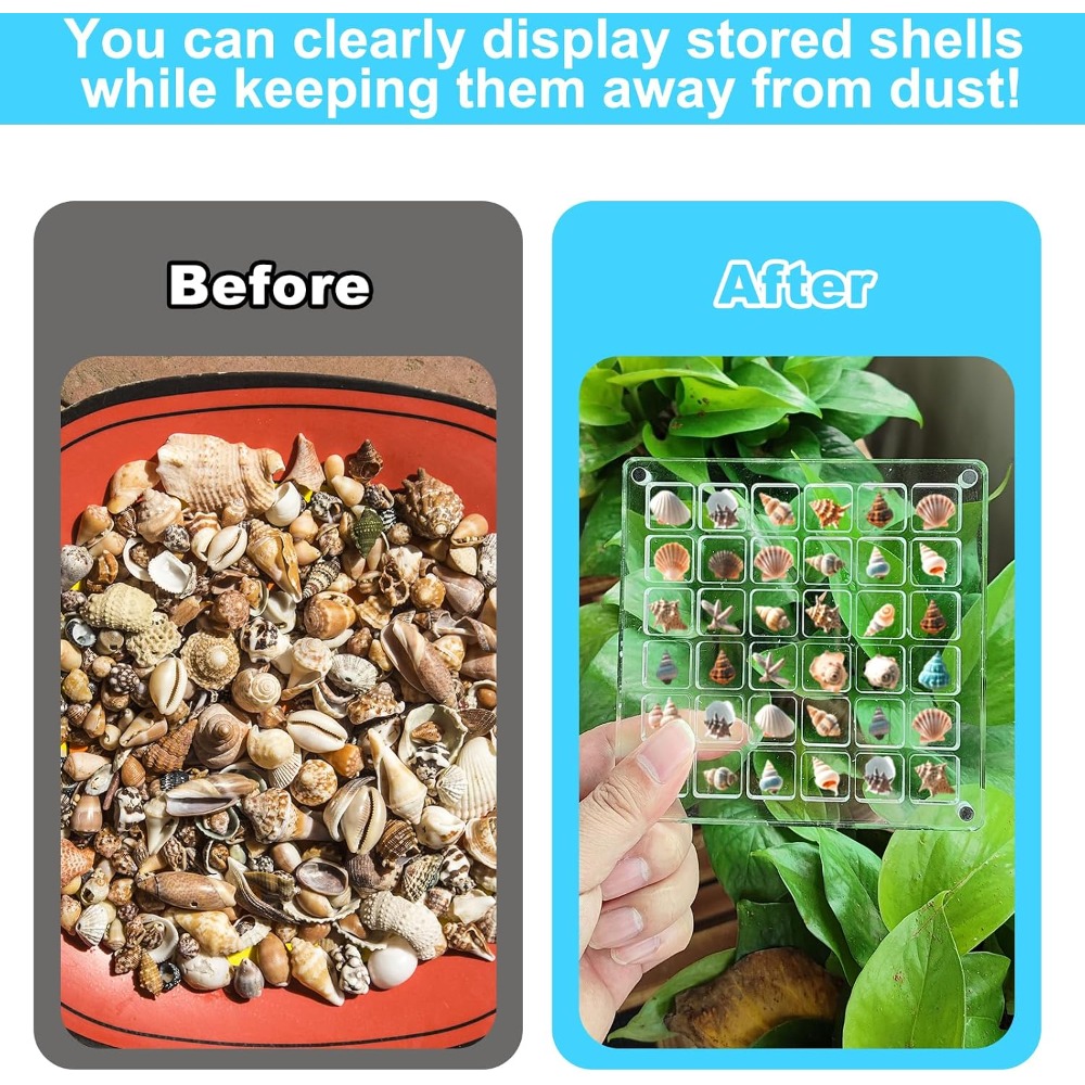 Clear Acrylic Magnetic Seashel – Display Case Acrylic recenzja i cena