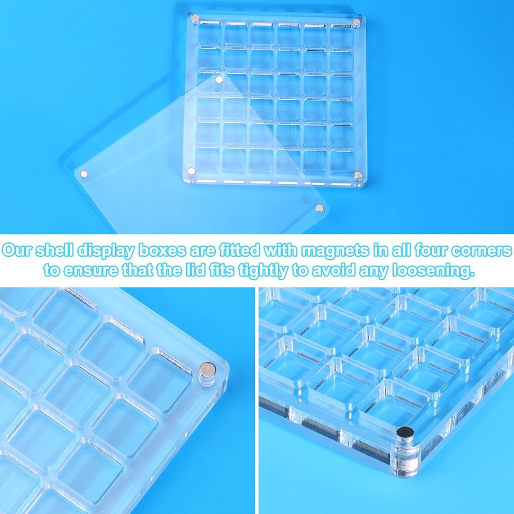 Clear Acrylic Magnetic Seashel – Display Case Acrylic recenzja i cena